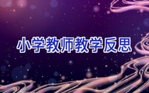 小学教师教学反思