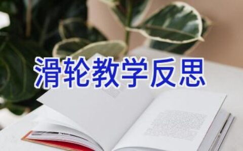 滑轮教学反思