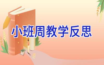 小班周教学反思