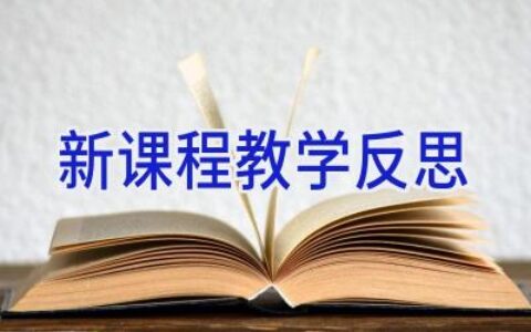 新课程教学反思