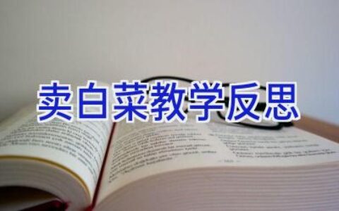 卖白菜教学反思
