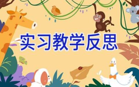 实习教学反思
