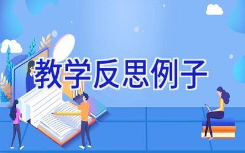 教学反思例子