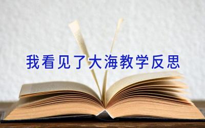我看见了大海教学反思