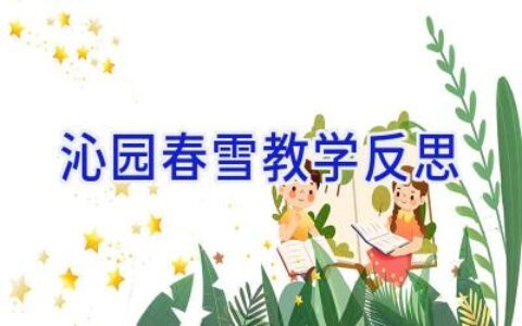沁园春雪教学反思