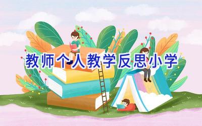 教师个人教学反思小学