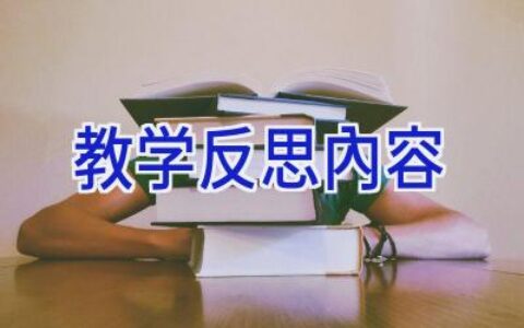 教学反思内容