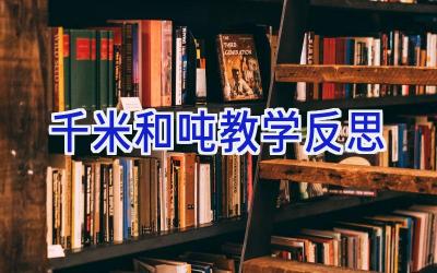 千米和吨教学反思