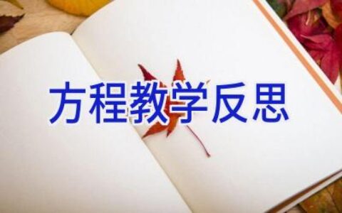 方程教学反思