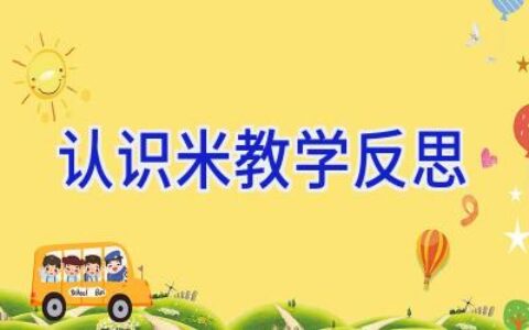 认识米教学反思