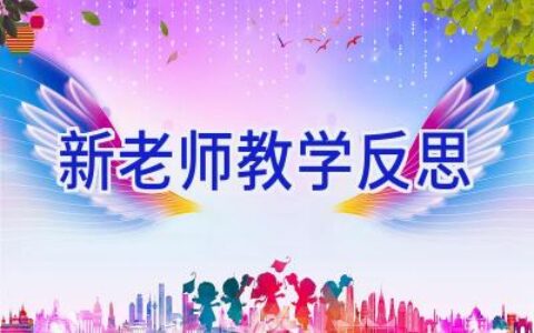 新老师教学反思