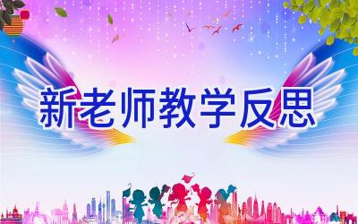 新老师教学反思