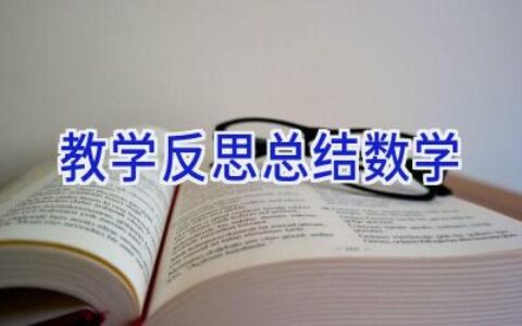 教学反思总结数学