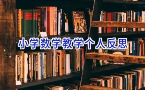 小学数学教学个人反思
