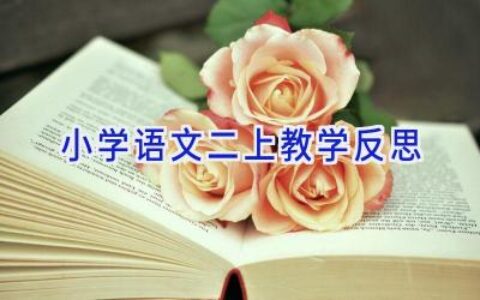 小学语文二上教学反思