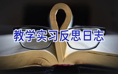 教学实习反思日志