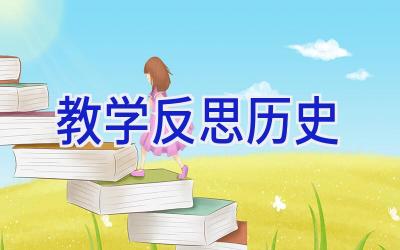 教学反思历史
