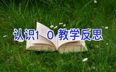 认识10教学反思