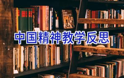 中国精神教学反思