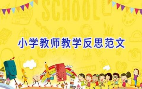 小学教师教学反思范文