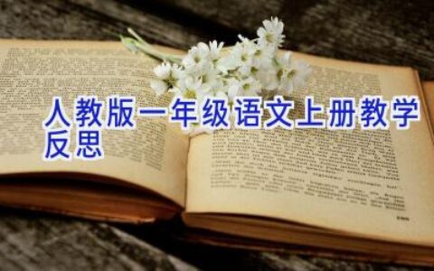 人教版一年级语文上册教学反思