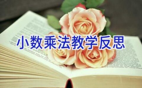 小数乘法教学反思