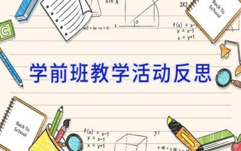 学前班教学活动反思