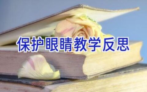 保护眼睛教学反思