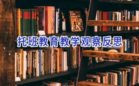 托班教育教学观察反思