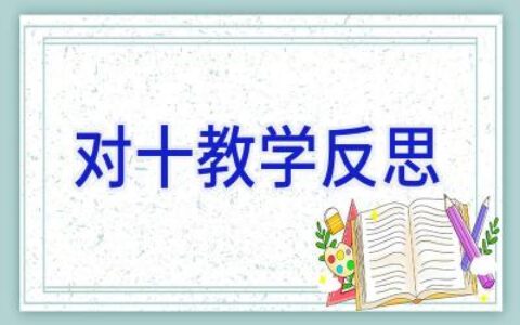 对十教学反思