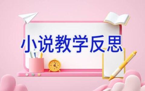 小说教学反思