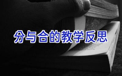 分与合的教学反思
