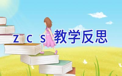 zcs教学反思