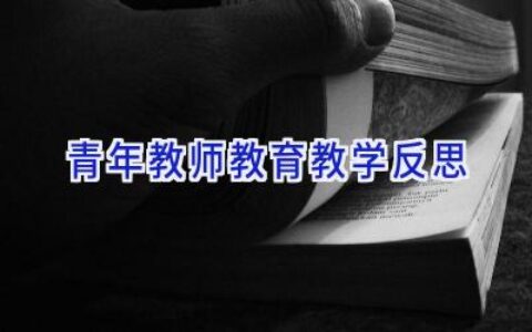 青年教师教育教学反思