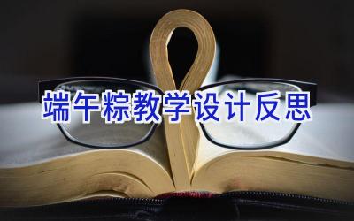 端午粽教学设计反思