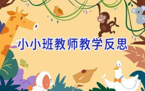 小小班教师教学反思