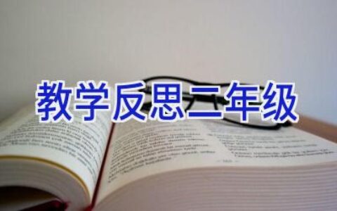 教学反思二年级