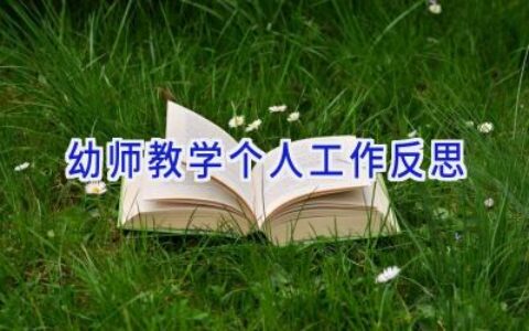 幼师教学个人工作反思