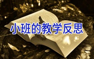 小班的教学反思