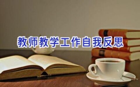 教师教学工作自我反思