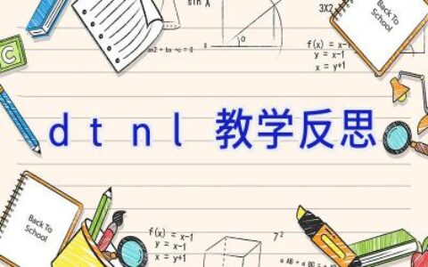 dtnl教学反思