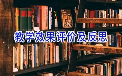 教学效果评价及反思