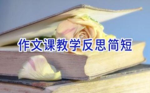 作文课教学反思简短