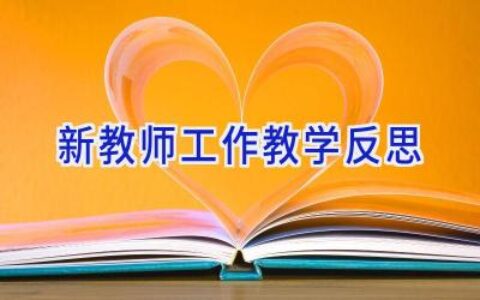 新教师工作教学反思