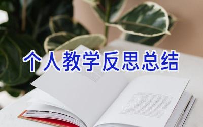 个人教学反思总结