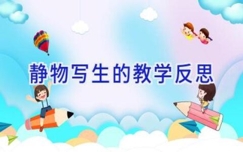 静物写生的教学反思