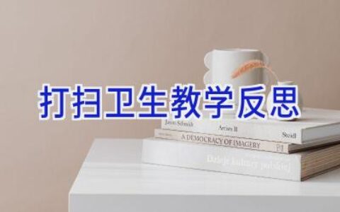 打扫卫生教学反思