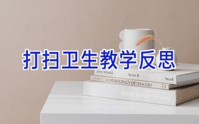 打扫卫生教学反思