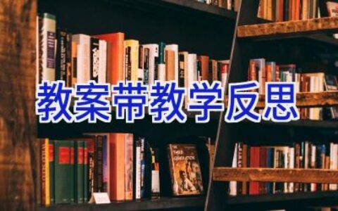 教案带教学反思