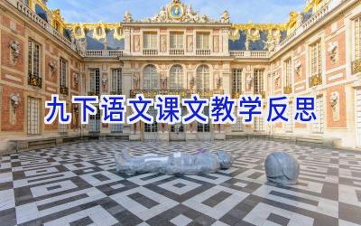 九下语文课文教学反思
